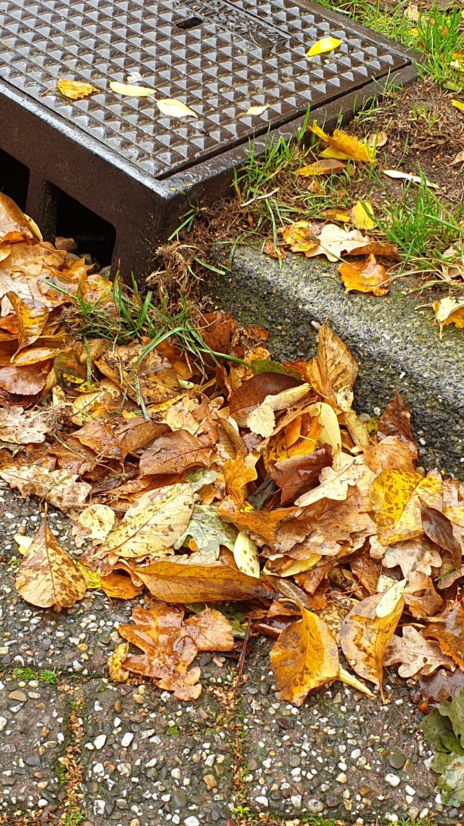 BartSchoen's tweet photo. @GemSonenBreugel rijd net mijn band kapot op deze putdeksel in de Marsstraat. Deze steekt nogal uit. Hoorde dat er ook al iemand in was gevallen misschien tijd om er iets aan gaan te doen https://t.co/4jQNILu97Y