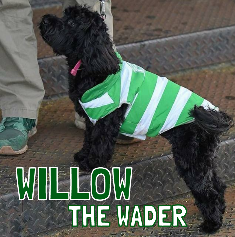 THANK YOU MARK &amp; WILLOW | 💚⚽️🙌

Shout out to <a href="/stickuk/">Stick</a> &amp; Willow The Wader who have kindly sponsored <a href="/TomCookman1/">Tom Cookman</a> and <a href="/Alan_Fleming08/">Alan Fleming</a>  for the season.

Get your name up in lights, but supporting your local club and sponsoring your favourite player today!

#WeAreFC