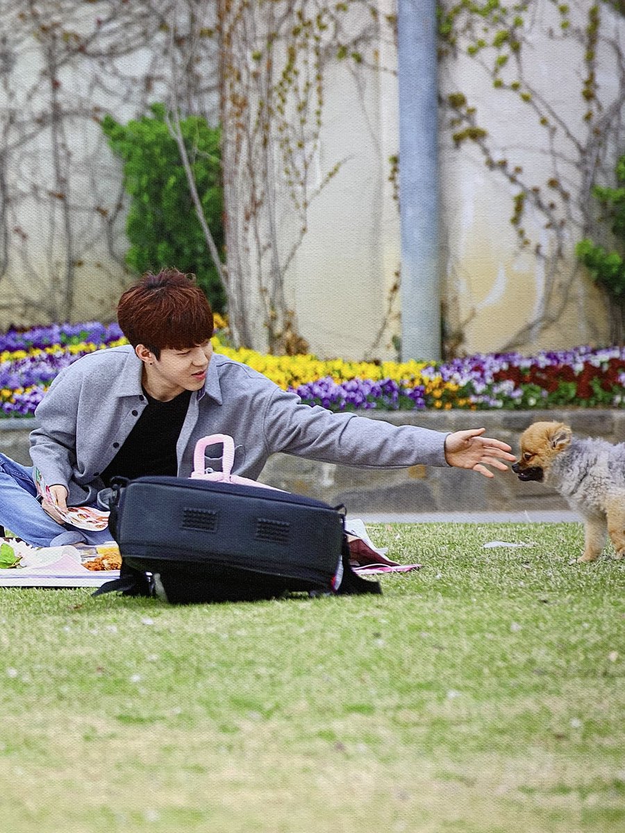 xeroxlxve's tweet photo. 귀염둥이 도운이 사랑해.. ♡ #OUR_SUMMER_IS_NOT_OVER https://t.co/tyveyXhoQC