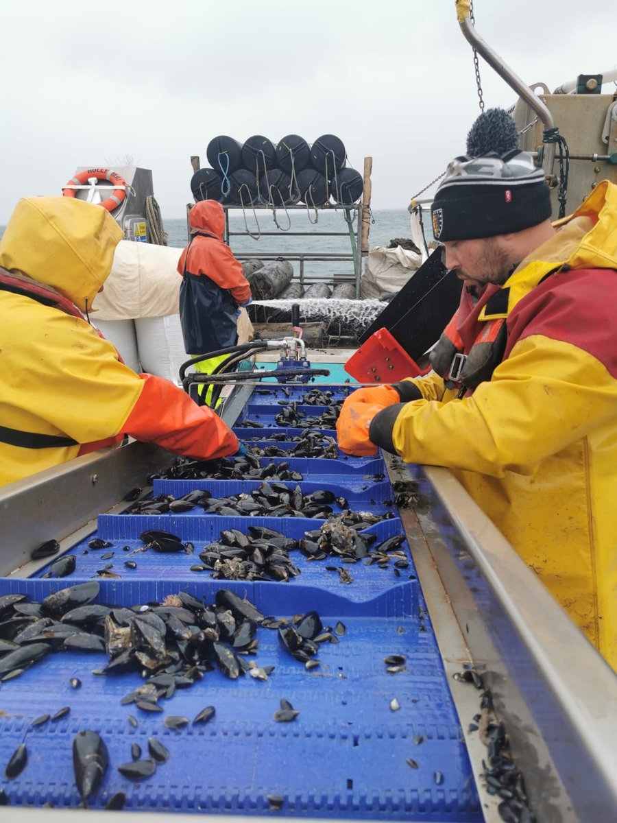RivieraGeopark's tweet photo. #AroundTheGeopark @OffshoreShell  is a #familybusiness . John at the helm, George runs  operations, Mum Nicki the office and Sarah sales &amp; marketing, 15 local employees,  many local  suppliers, benefiting the community #offshoreshellfish #mussels #sustainable #ourpeople https://t.co/Bx6EAntoPB