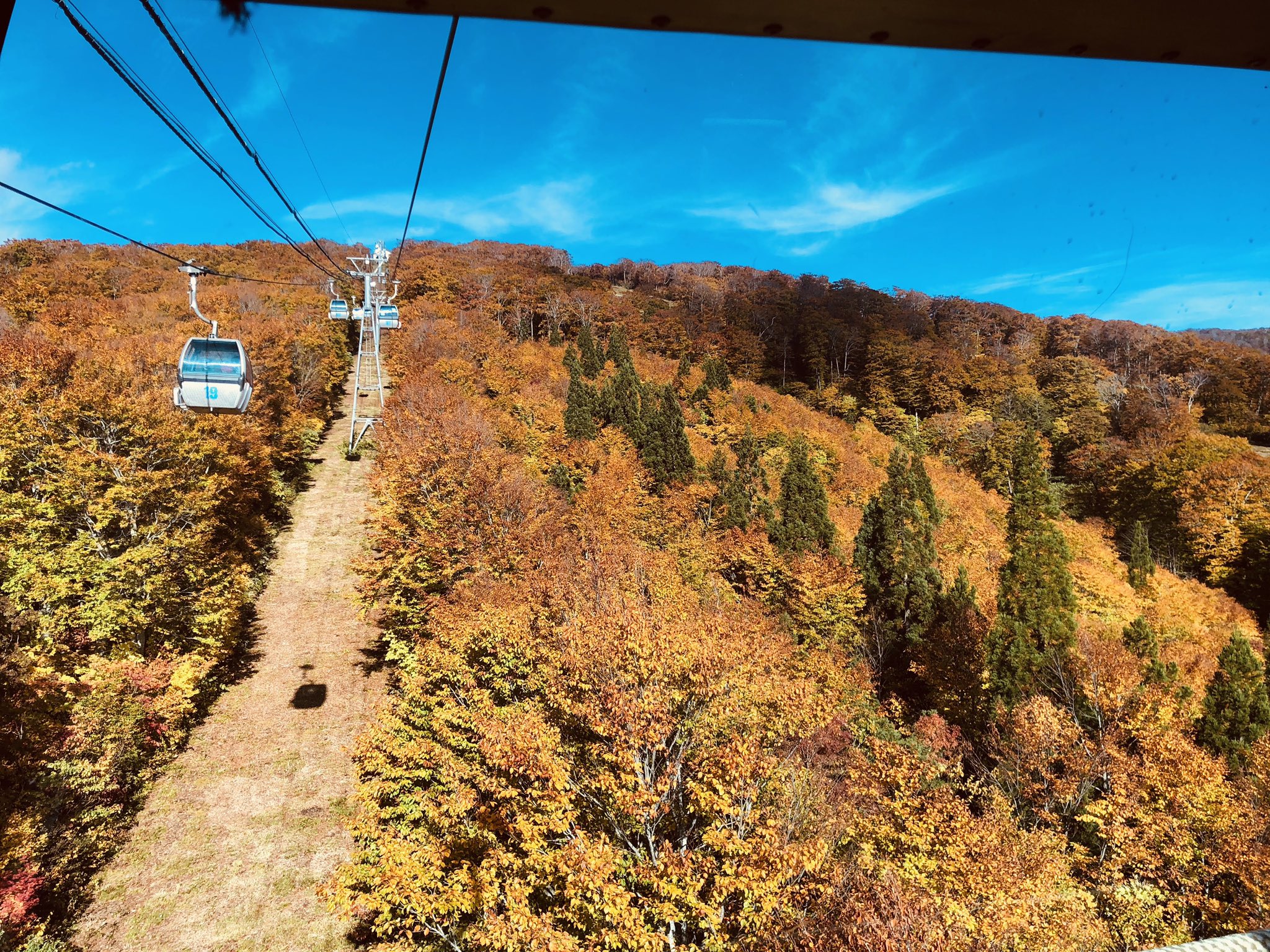 秋田紅葉 Twitter Search Twitter