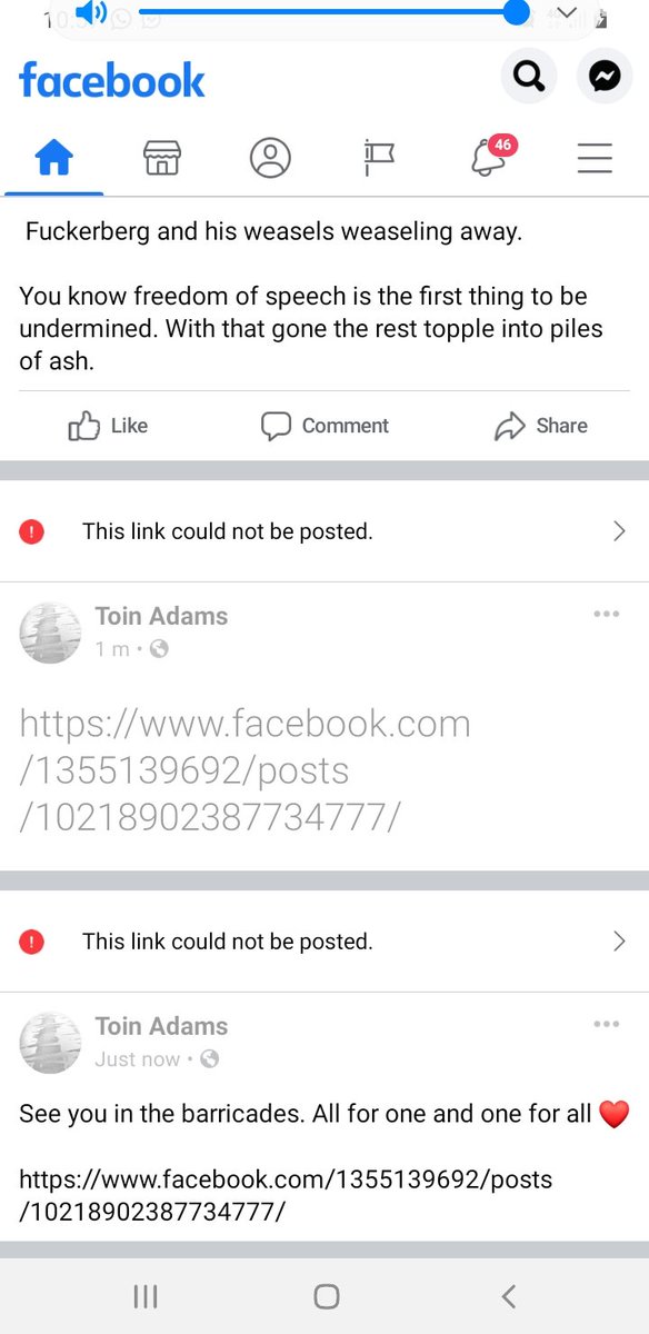 toin adams tweet media