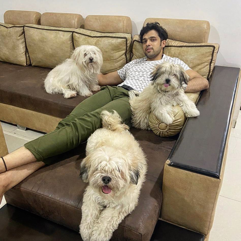 deegee0120's tweet photo. Ameeri🔥😂😂
#Parlex #ParthSamthaan https://t.co/PFS9HFMNNj