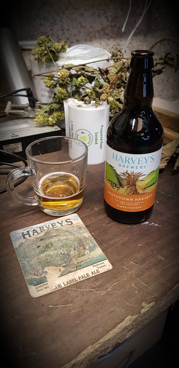 Hop harvest safely gathered in, time for a bottle of Southdown, cheers!