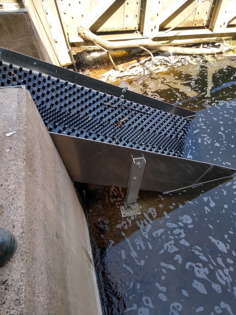 FishtekConsult's tweet photo. Itโs #WorldFishMigrationDay and we want to show our support for migratory fish on our rivers! #StepUpForFish
Hereโs a few pics to start but weโll be sharing more later from some of our projects helping #fishmigration https://t.co/rBzFYuix0R