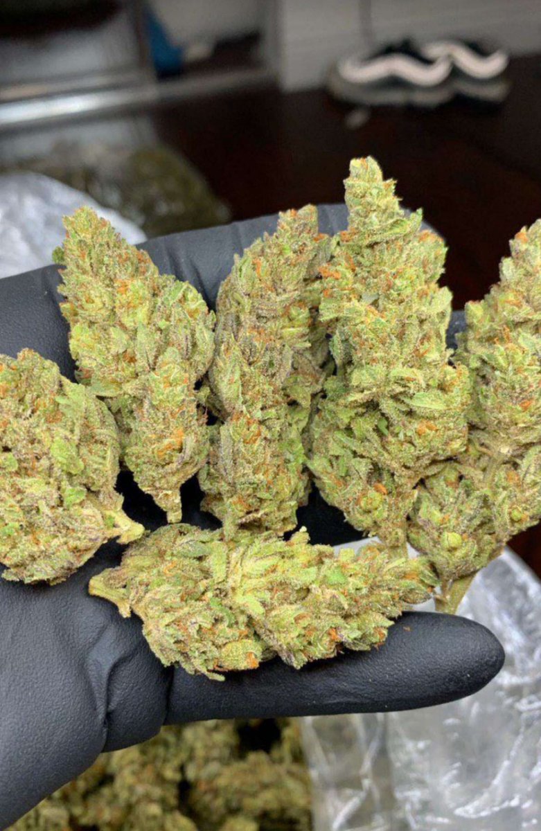 When everything seems as good gas⛽,
#cannabis 
#WeedLovers
#Kushboo 
#Hightime