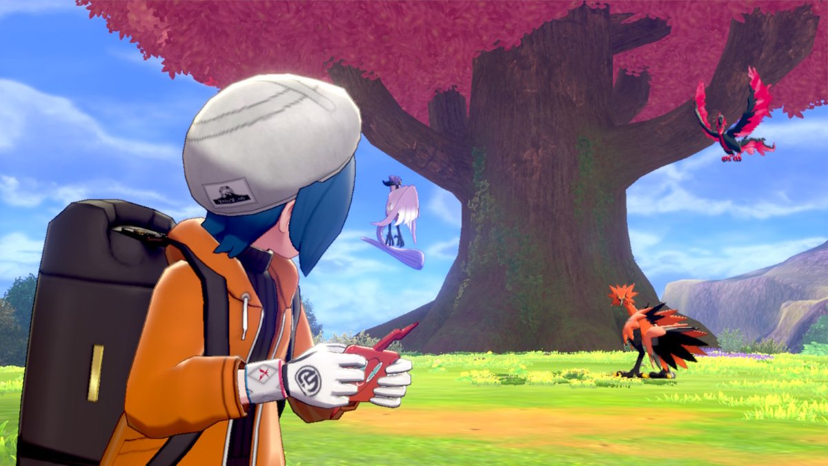 AvianBritish's tweet photo. #PokemonSwordShield #NintendoSwitch https://t.co/4QVzTa1HKl