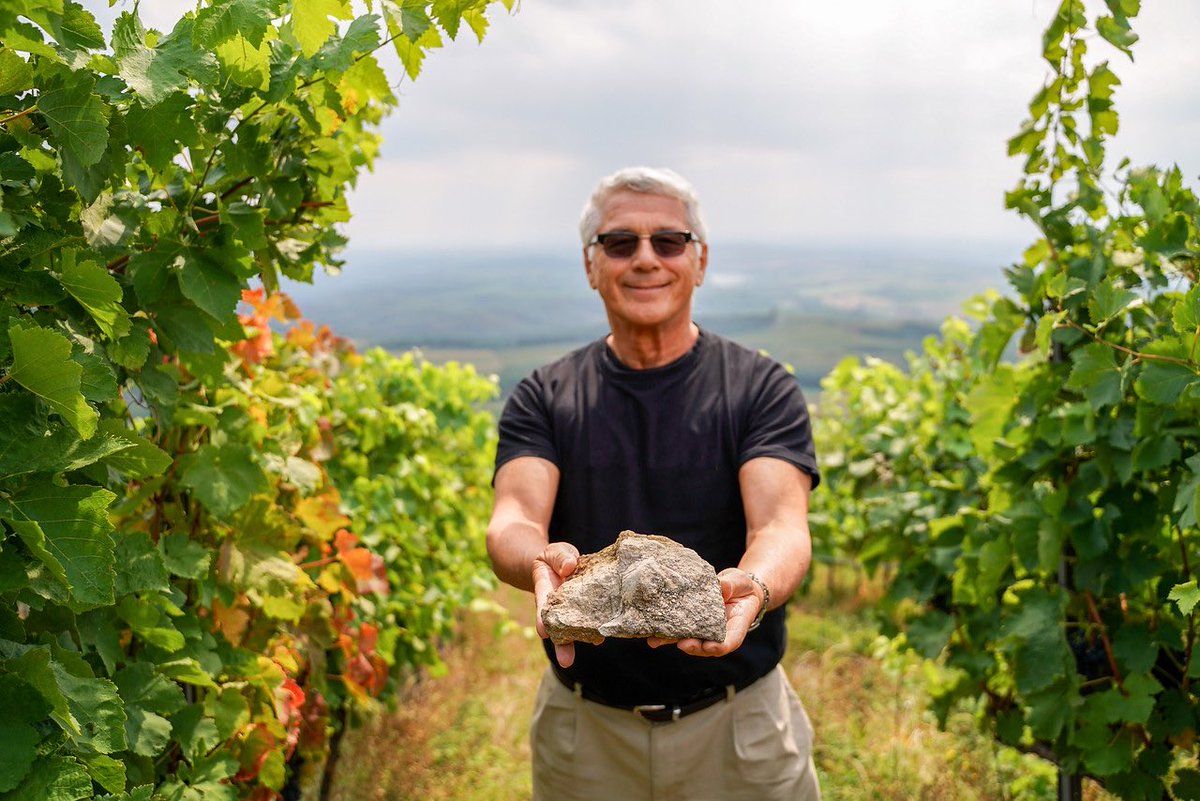 Kovács Nimród Winery tweet media