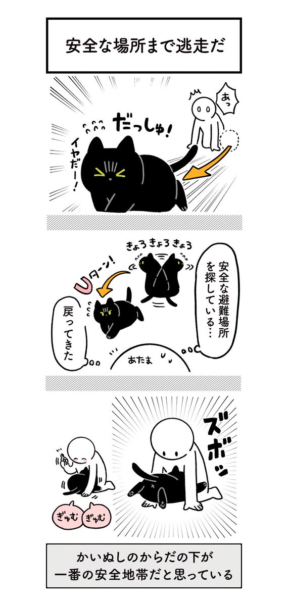 これはねこの爪を切りたい絵日記(3まい)
#ろんの絵日記 