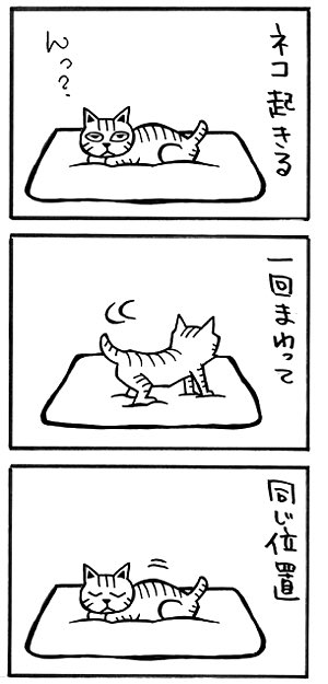 「あるある」🐈 