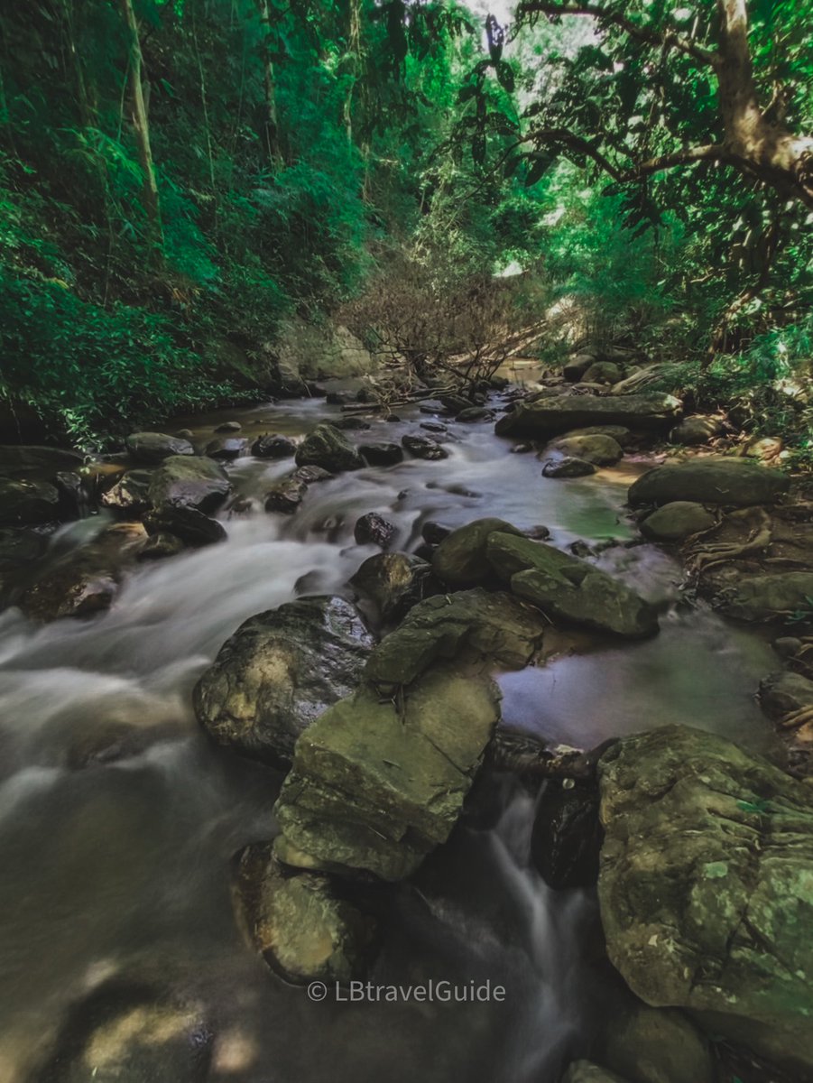 WTF

#น้ำตกตาดครก
#LBTravelGuide