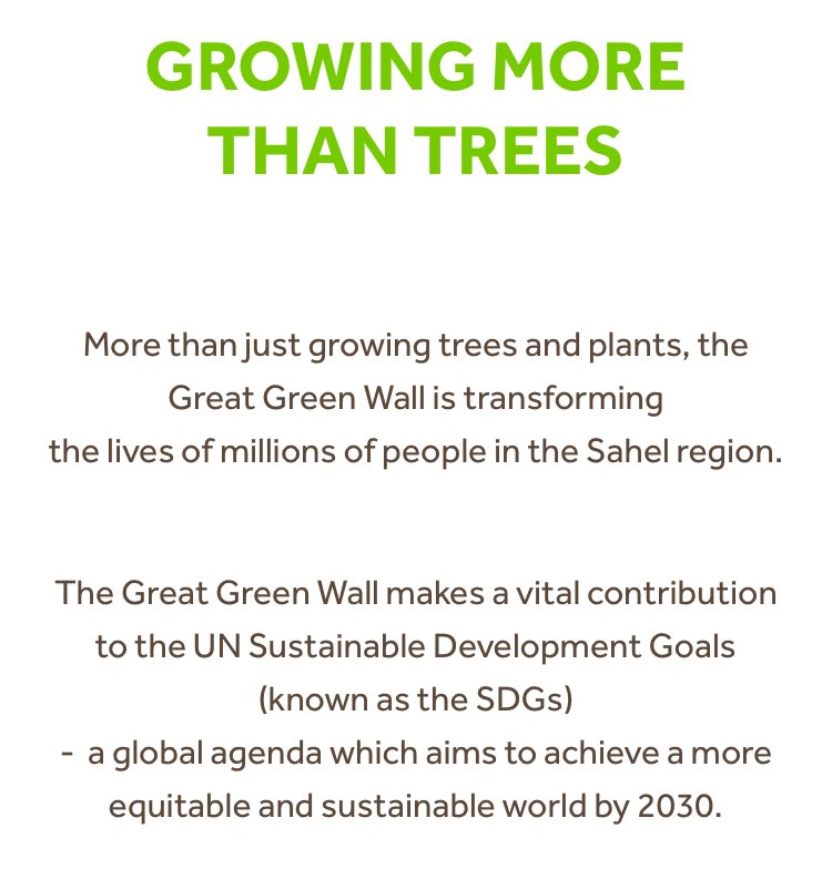 why is it about MORE THAN JUST GROWING TREES?
