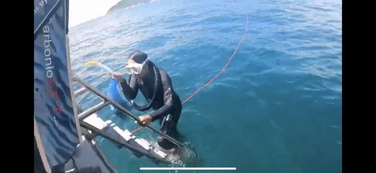 ขึ้นเรือพร้อมยางรถจักรยานที่เก็บมาจากใต้ทะเล 55555 I was getting on a boat with a bike tyre from the sea :) #diveagainstdebris #tomtomsdiving https://t.co/ZI4qF542L7