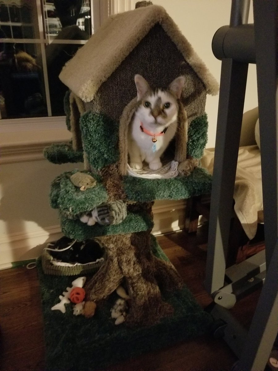 Hey <a href="/Rogdacat/">Roger the Cat</a> , I got a new roommate!  He used to live with my Gramma but now he's with us. 😊