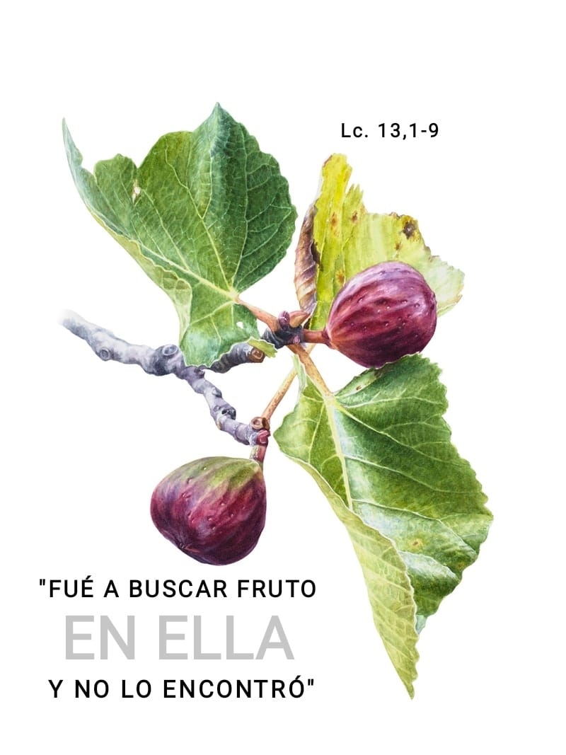 VocacionesHSC's tweet photo. Llamados a dar fruto de vida!! Dejando que la gracia de Dios nos conduzca solo asi daremos fruto. 
#HermanasHospitalarias
#FelizSabado https://t.co/dRwK29gP9G