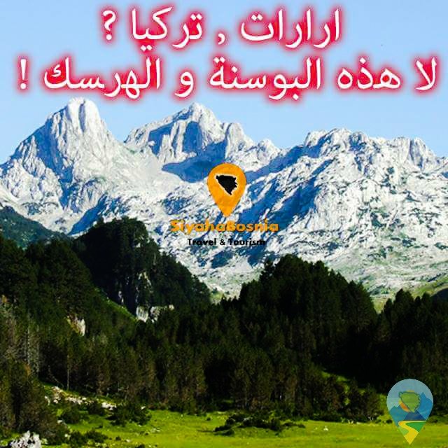 SiyahaBosnia's tweet photo. 🇧🇦
📲 ٠٠٣٨٧٦٥٦٠٠٠١٠
👻: siyahabosnia
🐦: siyahabosnia
🎶: siyahabosnia
FB: siyahabosnia
📷: siyahabosnia
#البوسنه #الماتي #كازخستان #جورجيا #بولندا #سياحه #اذربيجان #قبالا #دبي #كوالالمبور #عسل #سوتشي #براغ #فيينا #لندن #اسكتلاند #زيوريخ #يريفان #صلاله #العاب #ترفية #البوسنة https://t.co/q1lku61SOE