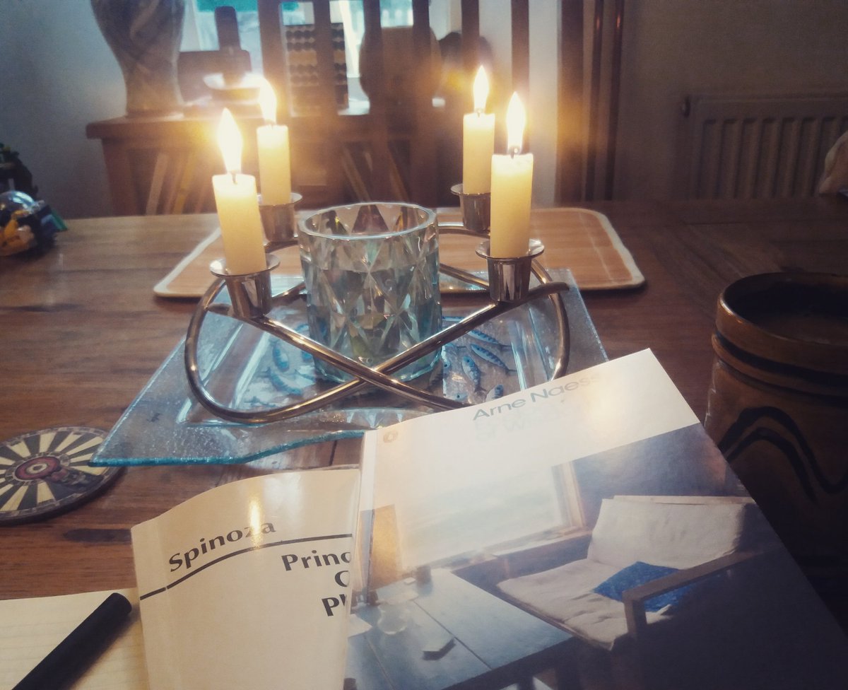 PeterSjostedtH's tweet photo. #Spinoza, #Naess, and a cup of tea. https://t.co/fVcwmSzvyp