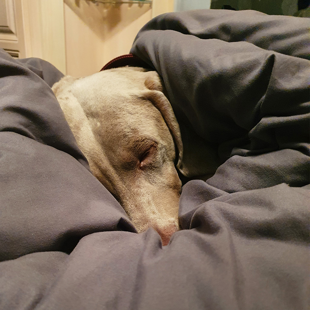 Zena Conkey tweet media