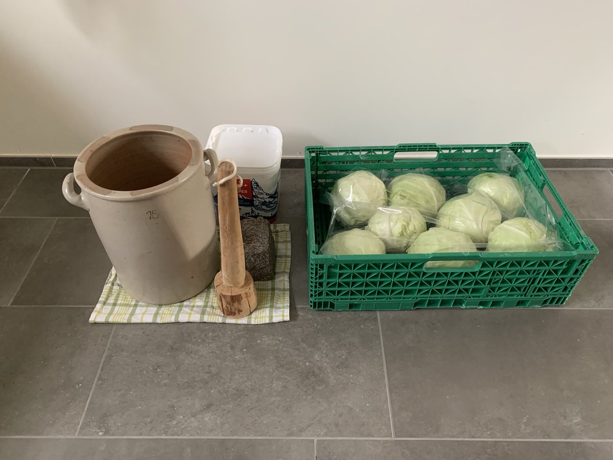 letscookmobi's tweet photo. Sauerkraut production out of 10kg white cabbage finished. Let‘s see how it tastes after some fermentation. https://t.co/tclfm6gVrT