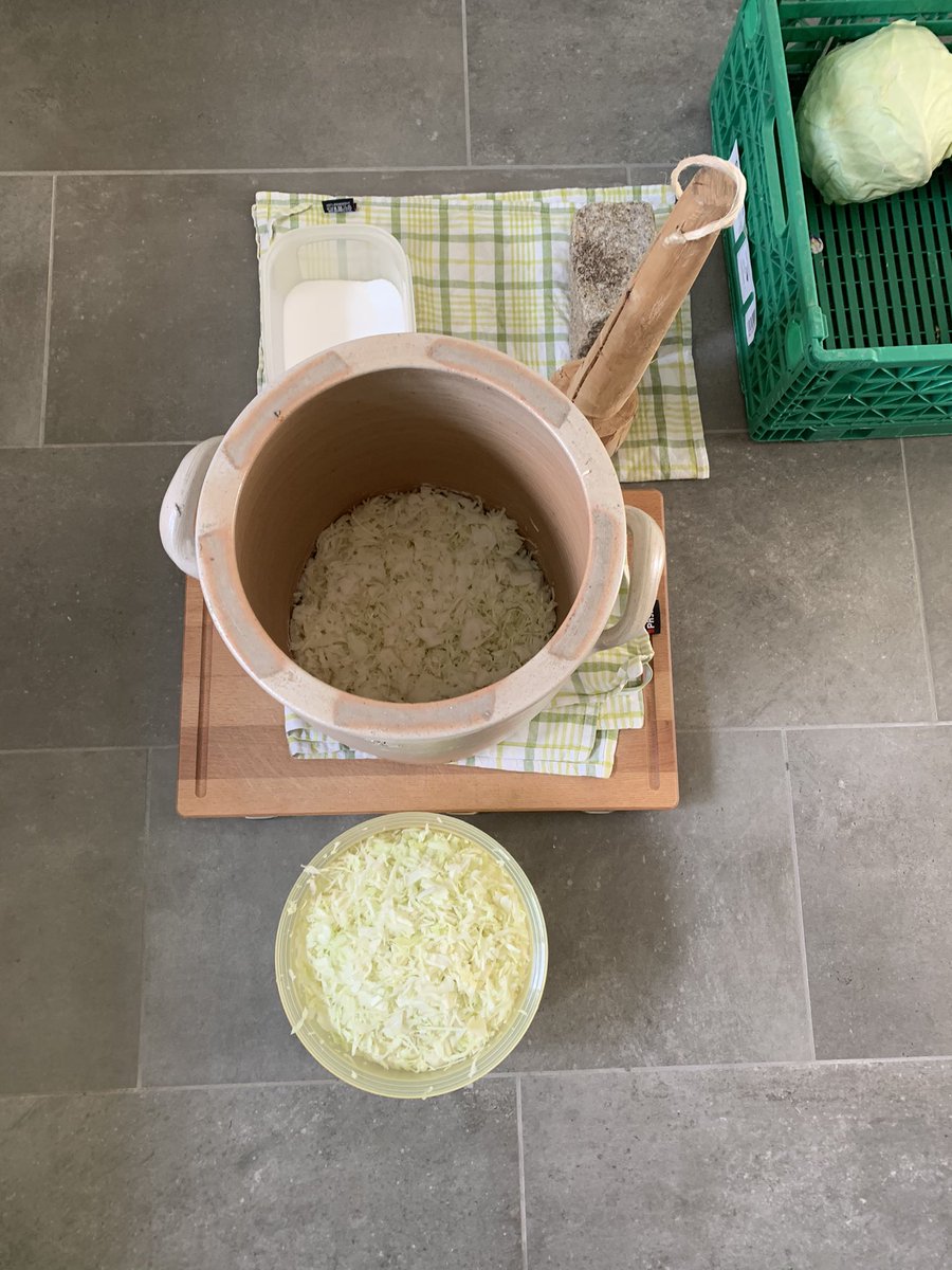 letscookmobi's tweet photo. Sauerkraut production out of 10kg white cabbage finished. Let‘s see how it tastes after some fermentation. https://t.co/tclfm6gVrT