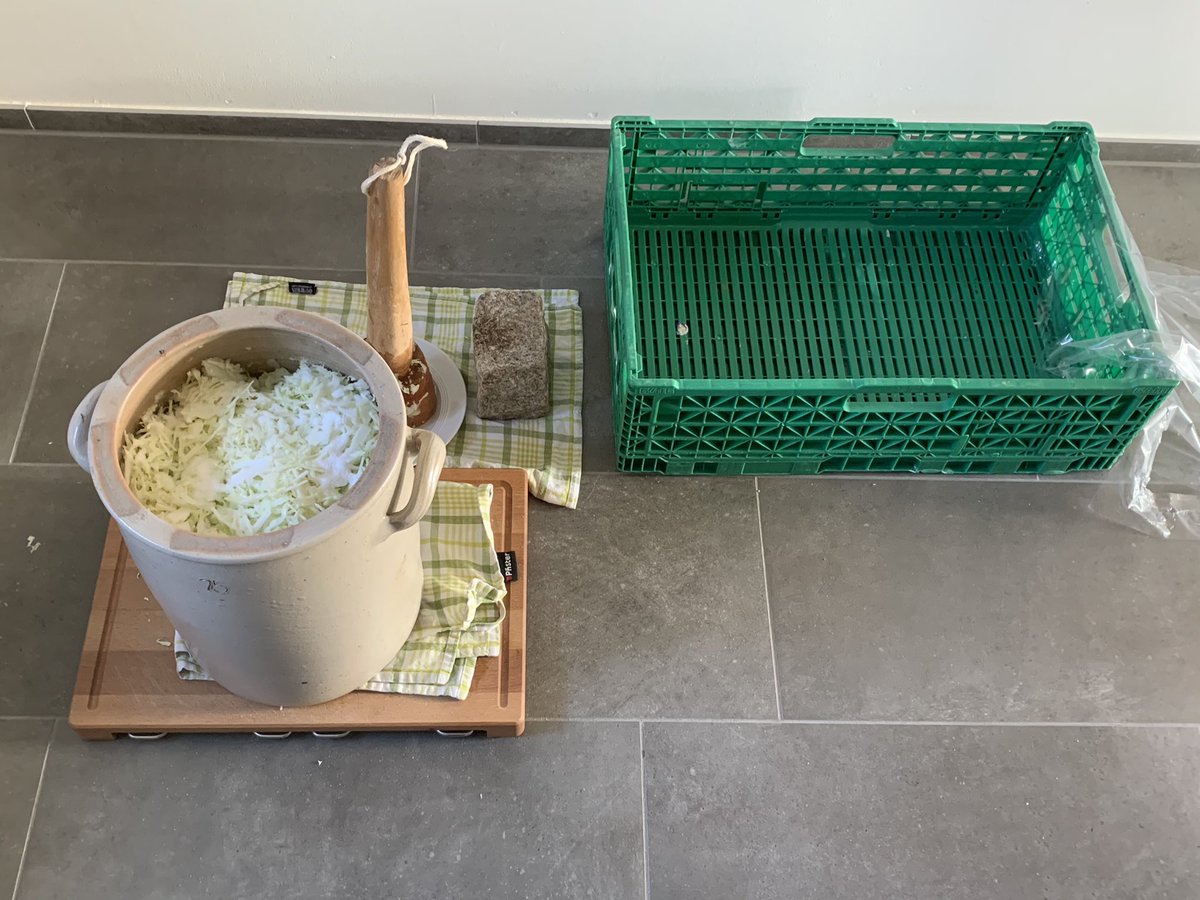 letscookmobi's tweet photo. Sauerkraut production out of 10kg white cabbage finished. Let‘s see how it tastes after some fermentation. https://t.co/tclfm6gVrT