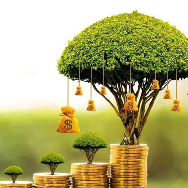 GOLDENBUSINESSS's tweet photo. La inversión es como una semilla que se planta y germina, crece y produce muchos frutos 🍒🍐🍊🍋🍌🍉🍏🍎🍇 Si no siembras, no hay forma de que puedas cosechar.

Si no siembras🌱🌴🌿☘ gastarás el dinero que tienes comprando frutos de los que plantaron ...

Invierta finca raíz ... https://t.co/AqWV8SNvrp