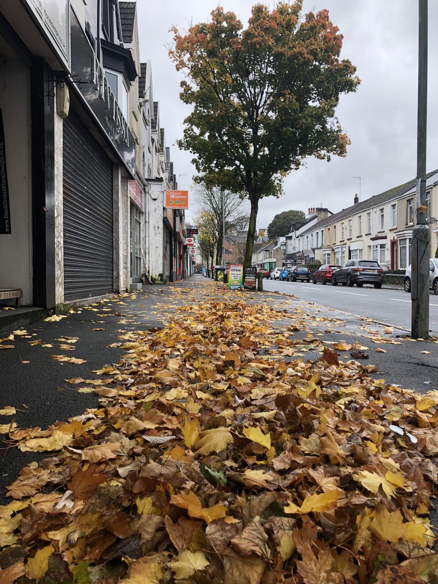 washmypants's tweet photo. Hey @SwanseaCouncil any chance of getting leaves sorted on Bryn Y Mor Road please ? Thanks #supportlocal https://t.co/hMbdXoJElj