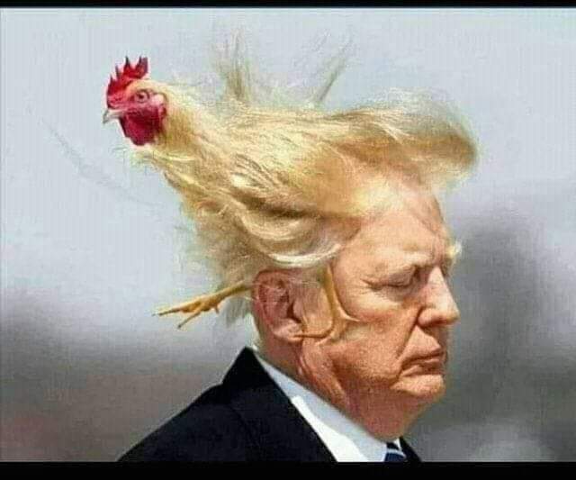 ለ21ኛው ክፍለዘመን የማይመጥን የሰው አተላ!
All Black people in the world ought to condemn this idiot leader who have developed pseudoscientific racist attitude against Blacks.