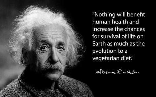anandkrishn29's tweet photo. Now is the time to really realise what is the  natural diet of humans which has always been vegetarian. All other diet options are unnatural to your human nature.
#NonVeg kills whereas #veg diet nurtures. #coronavirus https://t.co/U3NoVyHtZP