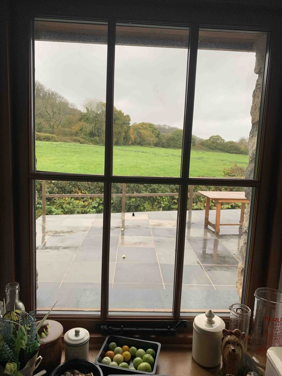 GowerBeachGuide's tweet image. Day one of #firebreaklockdown in #Gower 🏖️🏴󠁧󠁢󠁷󠁬󠁳󠁿Dismal day today, let's hope it gets better.