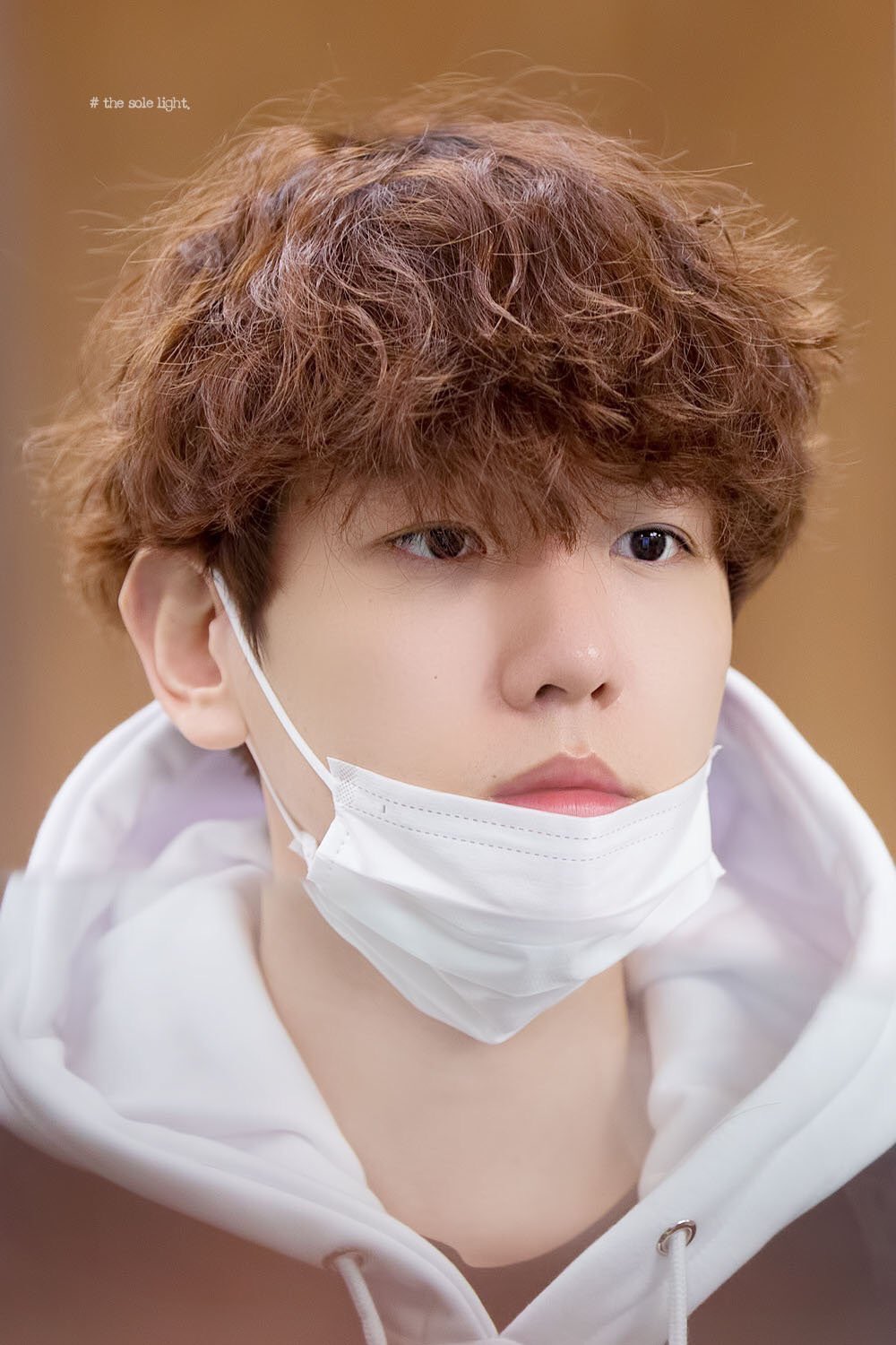 Light perm 2024