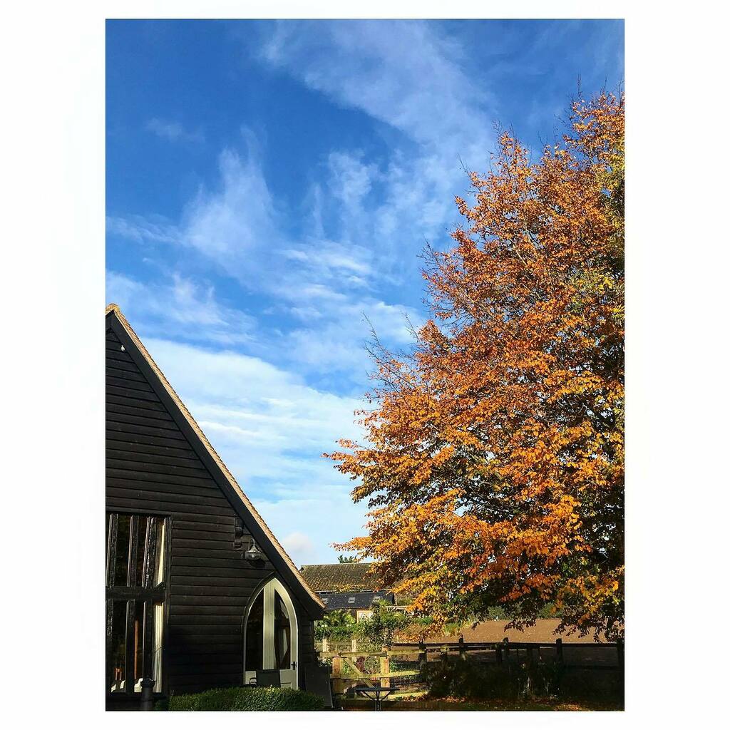 The colours of autumn unfolding.
•
•
#naturenotes_october #seasonalshift #treesofinstagram #nature_perfection #autumnvibes🍁 instagr.am/p/CGu3HHMnaU7/