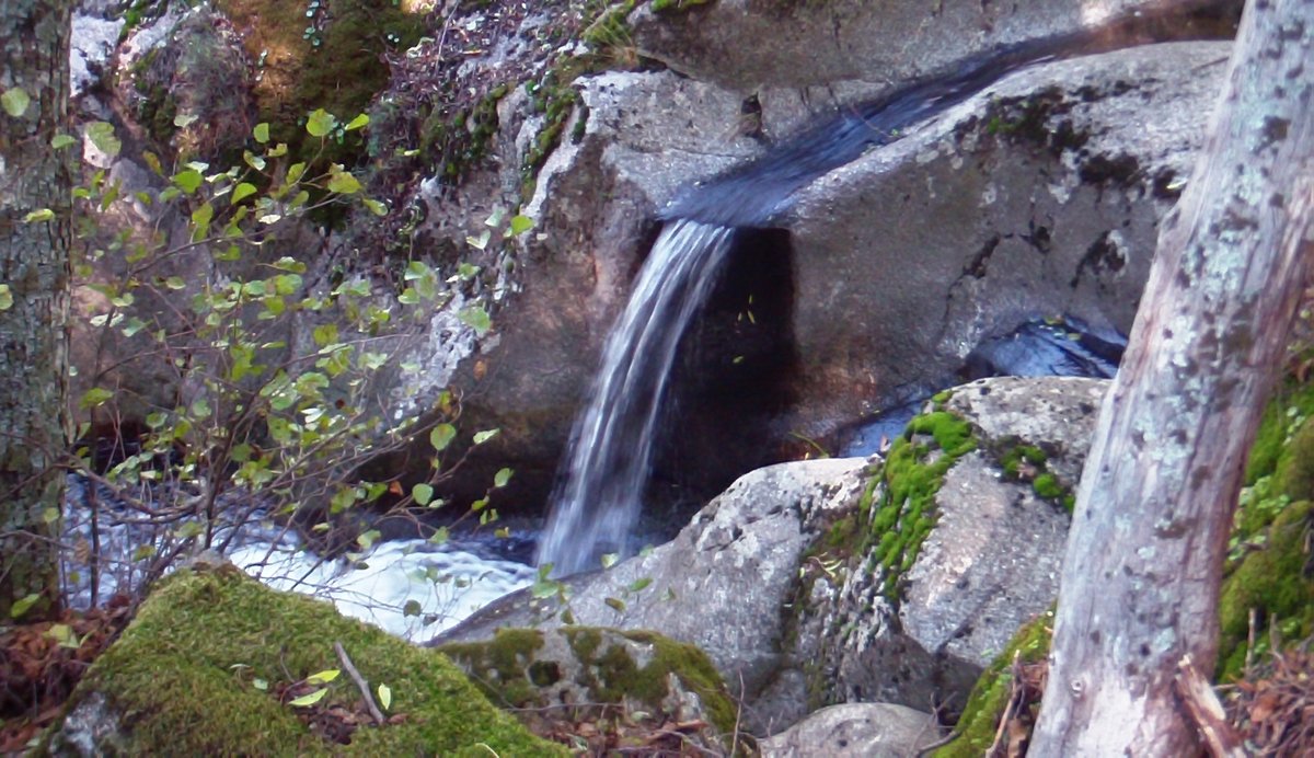 Paraisodeltieta's tweet photo. Paraíso abierto los fines de semana y puentes en espera de #OtraNormalidad 🥰
https://t.co/hZ4VsxD6Jh
#naturaleza #actividades #rural #montaña #Vacaciones #AbiertoFinDeSemana #SitioDeConfianza #turismorural #momentos #conniños #LaAdrada #ValleDelTiétar #Gredos @paraisodeltietar https://t.co/XVDvQI51fz