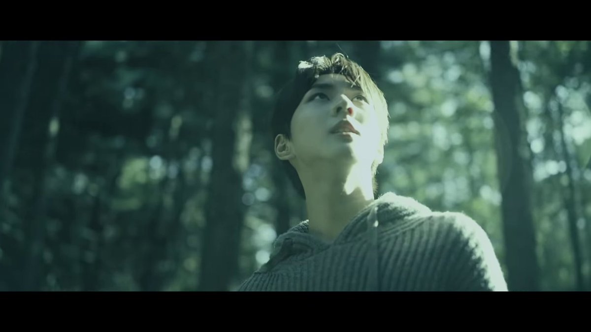 now, the music becomes slightly faster & we see jungwon presumably trying to navigate his way out of the forest. he looks scared.