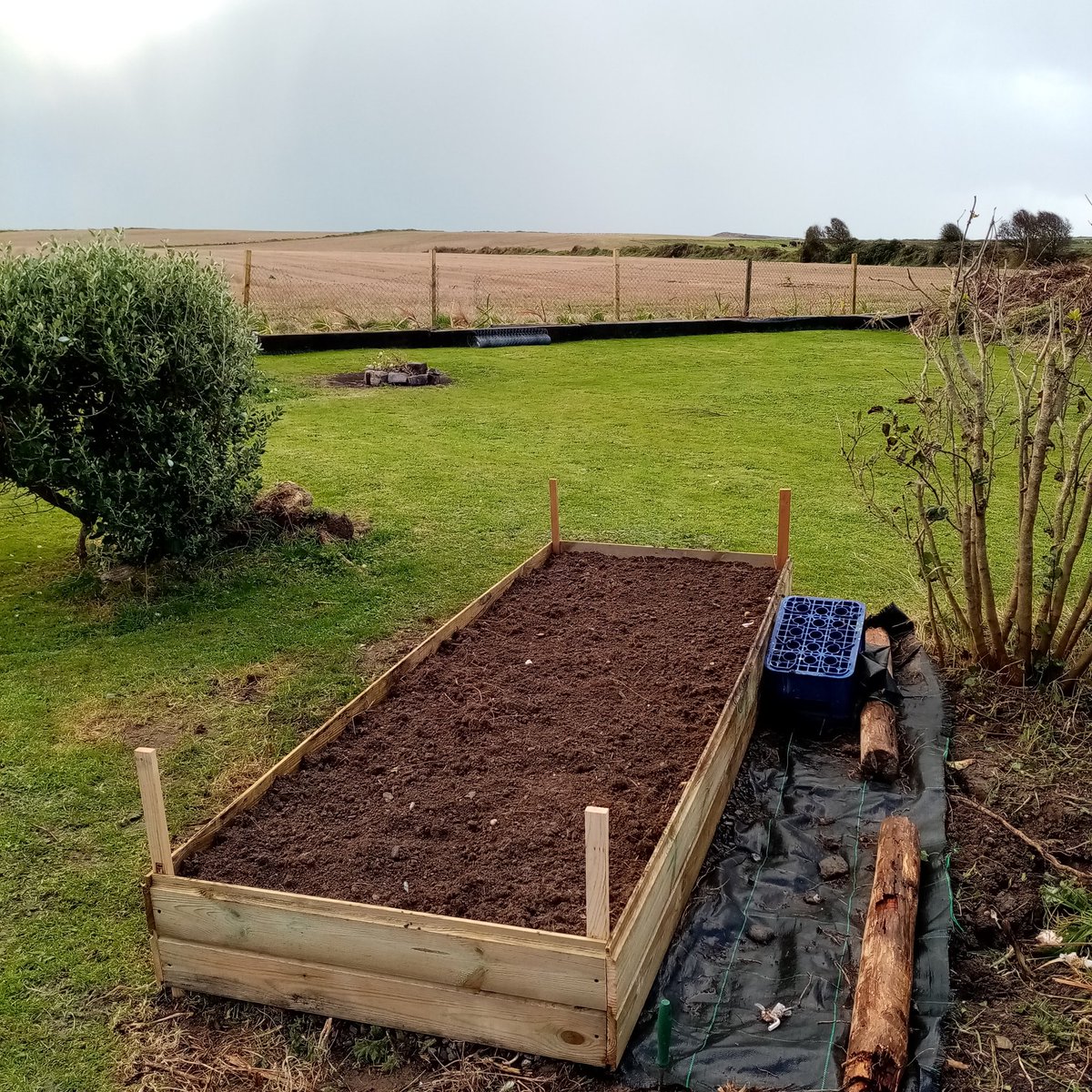What to do during lock down make a start on next year's garlic, hopefully by the time they are ready covid will be a distant memory