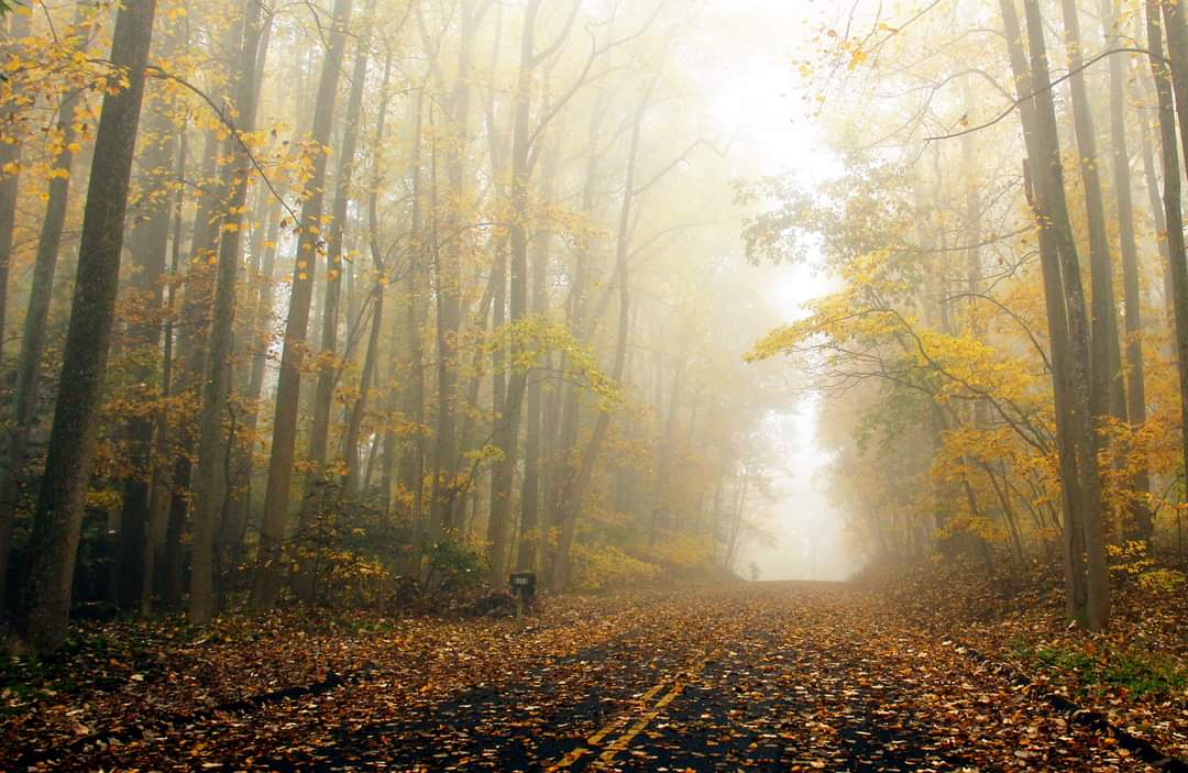 JuxtaHub tweet media