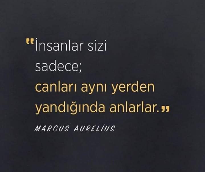 MitatTanVefaDer's tweet photo. Yada işleri düşünce anlıyormuş gibi yaparlar.. https://t.co/cDSiPHdIB8
