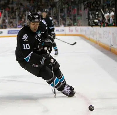 hockey_vintage's tweet photo. ON THIS DAY in hockey history (October 24, 1974): Winger Jamal Mayers was born in Toronto, Ontario. Mayers played 915 NHL games for the Blues/Leafs/Flames/Sharks/Blackhawks #VintageHockey #NHbL @StLouisBlues @MapleLeafs @NHLFlames @SanJoseSharks @NHLBlackhawks https://t.co/zRnaziqCvf