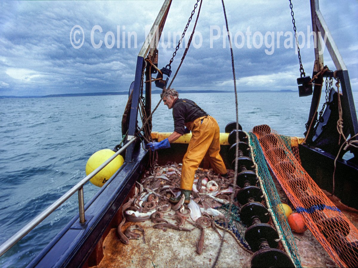 colinmunrophoto's tweet photo. There is a delicate balance between the need to feed people and the need to protect our seas for future generations; the need to protect jobs now and the need ensure fishing is sustainable and there are jobs for the next generation. #lymebay #lymebayclosedarea #artisanalfisheries https://t.co/hgShQ3ZeVp