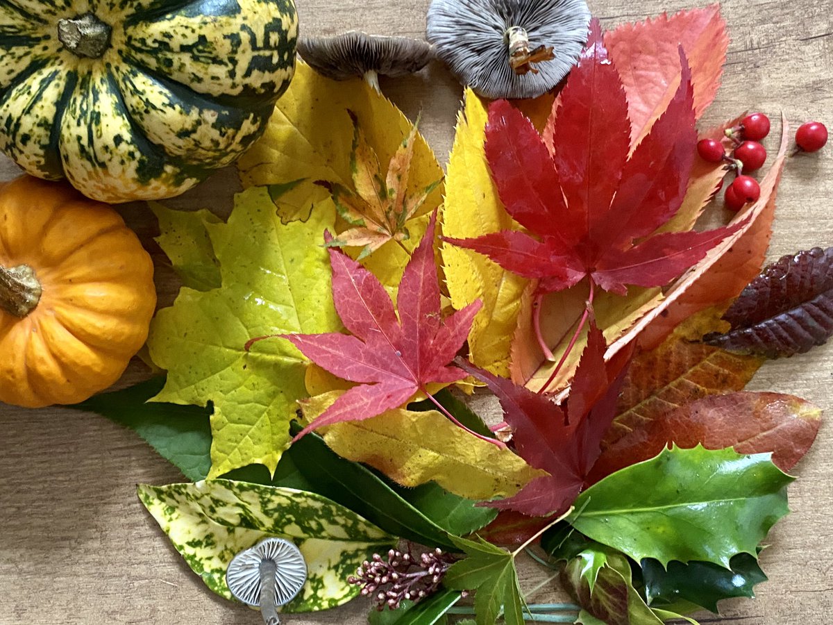 Jennifer Ellis tweet media