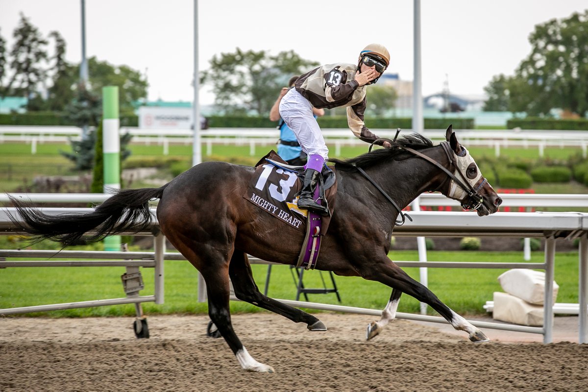 ONTRacing's tweet photo. Will Canadian Triple Crown history be made today? Watch the exclusive #BreedersStakes broadcast LIVE on TSN at 5PM ET. Photo by @JohnW70112 #HorseRacing #TripleCrown #WoodbineTB #ontarioracing @D_Fukumoto https://t.co/hUvoGmj1R7