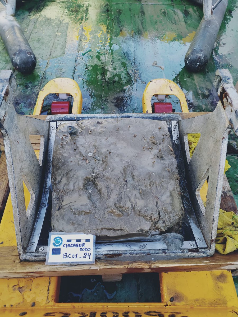 gemar_ieo's tweet photo. Realizando 👷👷🏼♀️ la primera #boxcorer en las inmediaciones del volcán de fango Hespérides, en el campo profundo de expulsión de fluidos del Golfo de Cádiz 🌊
#CIRCASUR1020 #EEMM https://t.co/WQLBlD0AIo