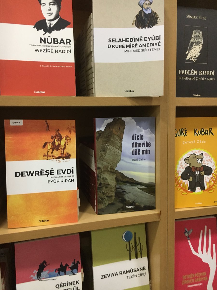 Dîcle Diherike Dilê min...Romana ew netewa ku di erdnigariye xwe de Penaber e.