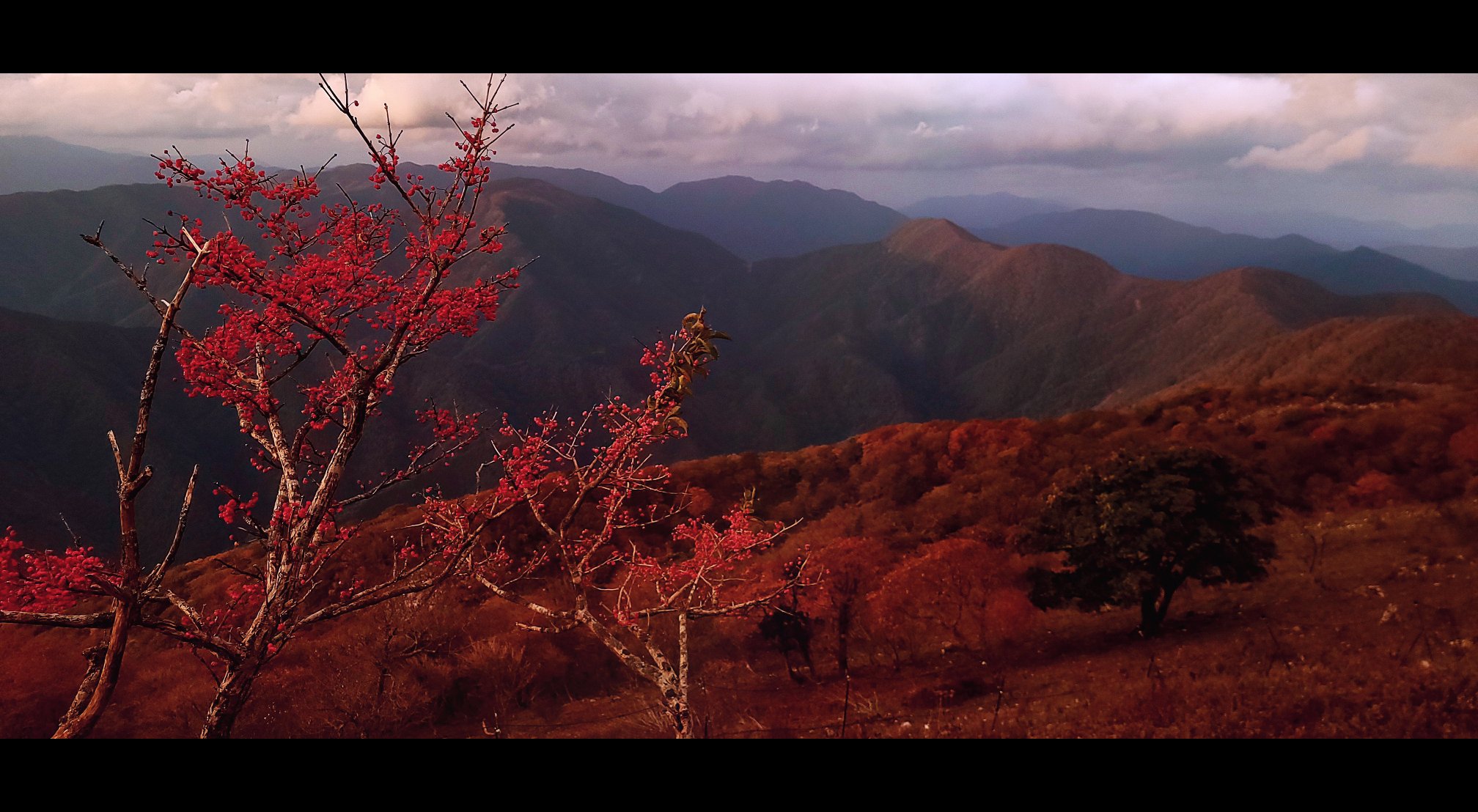 Otukimi 伊吹山03 T Co Vjfytsehwh Twitter