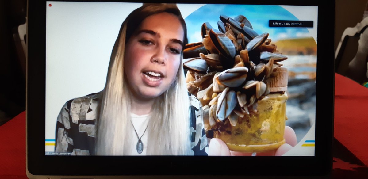 Amber_Effect's tweet photo. The environment trying to fight back. This plastic does not break down. Emily @BeachGuardian even found a plastic lobster clip from DFO NL all the way over in the UK! #rotaryatlantic2020 https://t.co/4PaPrseTME