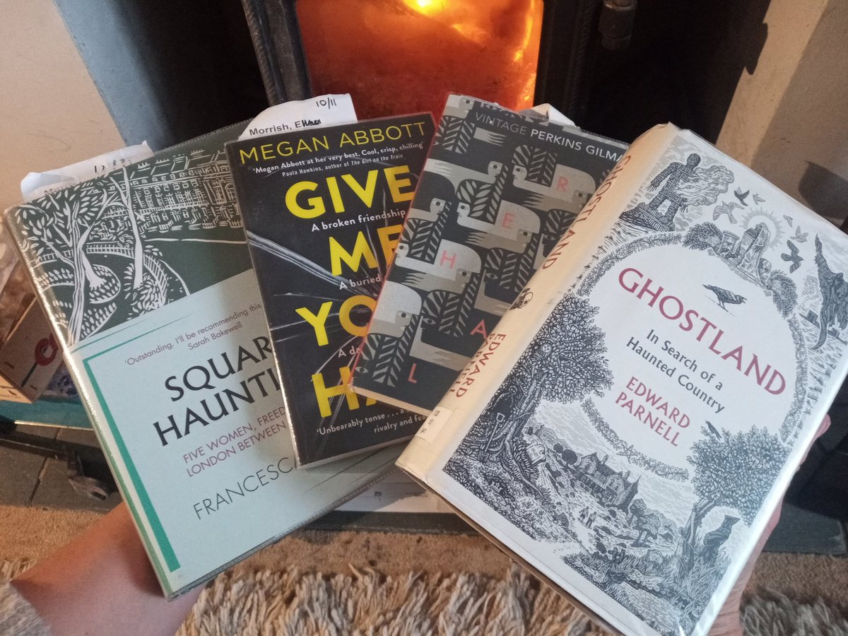 LouiseMorrish1's tweet photo. On such a dreary day, I can't think of anything else I'd rather be doing than sitting by the fire, deciding which of my @Alton_Library #books to start first.
#readingforpleasure
#Autumn
#GhostLand
#Herland
#GiveMeYourHand
@francescawade
#SquareHaunting https://t.co/1eFWNE0VtI