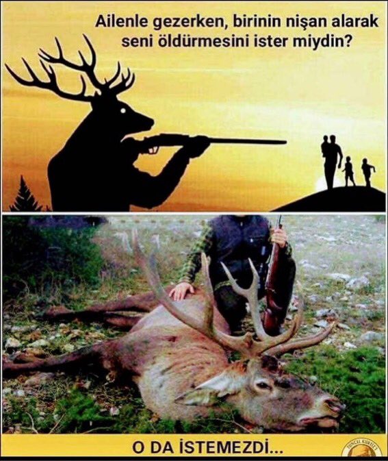 #HayvanlarYaşamakİstiyor