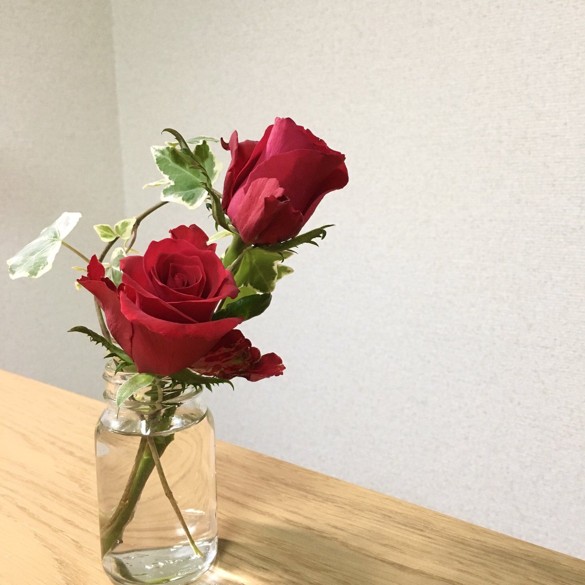 リエアサイ この バラ もスーパーの花コーナーの子 このクオリティでなんでこの値段つけた っていうくらいお値打ちですた 品種は サムライ かな アイビー と一緒に バラって身近だけど こんなベルベットみたいな触り心地の花びらって他になかなか リエアサイ この バラ もスーパーの花コーナーの子 このクオリティでなんでこの値段つけた っていうくらいお値打ちですた 品種は サムライ かな アイビー と一緒に バラって身近だけど こんなベルベットみたいな触り心地の花びらって他になかなか