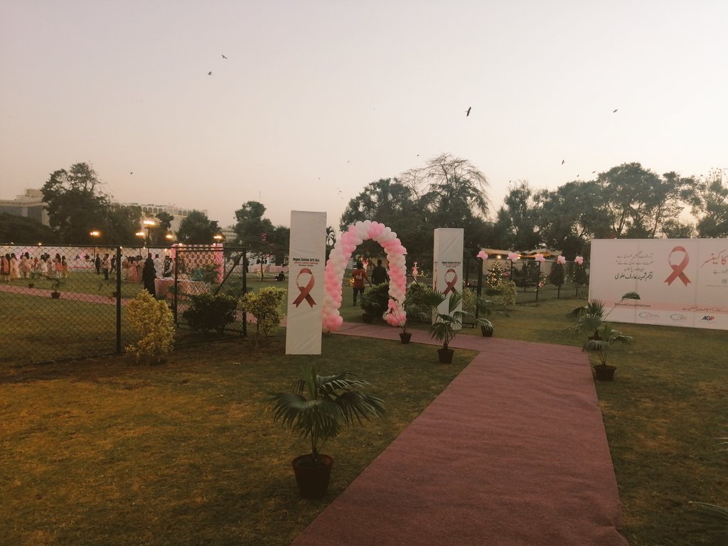 Breast Cancer Awareness Pakistan tweet media