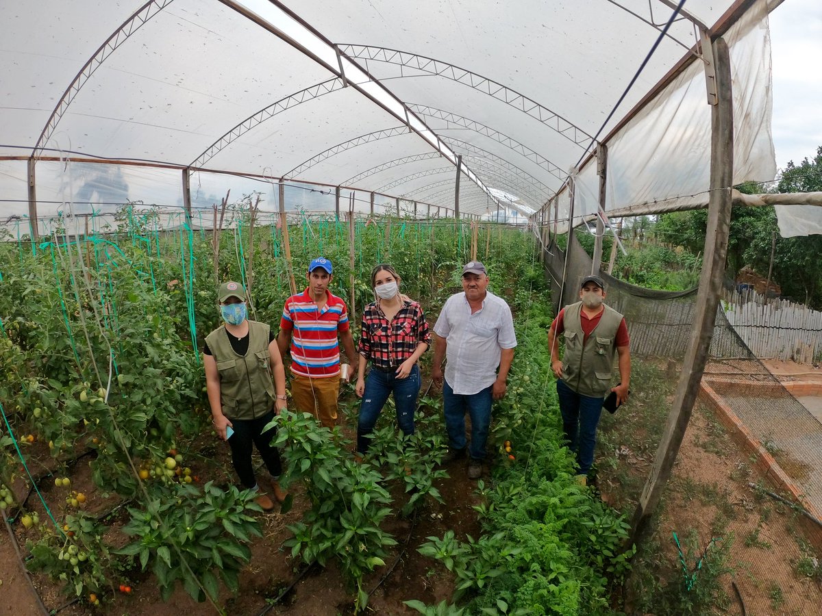 Patty_Corvalan's tweet photo. 💪🇵🇾🍅 Con la Gerente de la DEAG, la Dra. Margarita Medina, felicitamos a los guapos productores, Vidal y Juan Guerrero, por su gran producción de tomates, que son comercializados en su propia finca. La Muni de #Quyquyhó, como el @magparaguay los seguiremos apoyando #Paraguarí https://t.co/TX4tx45SHv